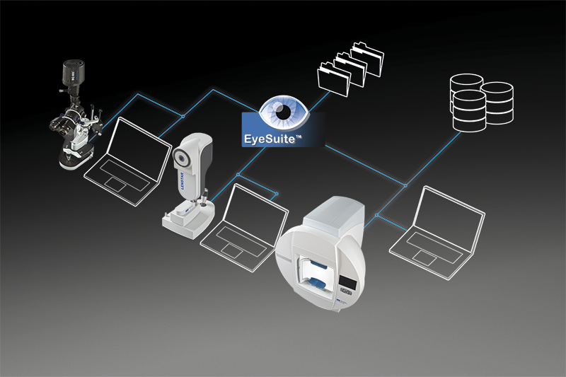 FUNDUS MODULE 300